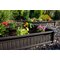 Lifetime 4.06 ft x 4.06 ft Plastic Raised Garden & Reviews | Wayfair